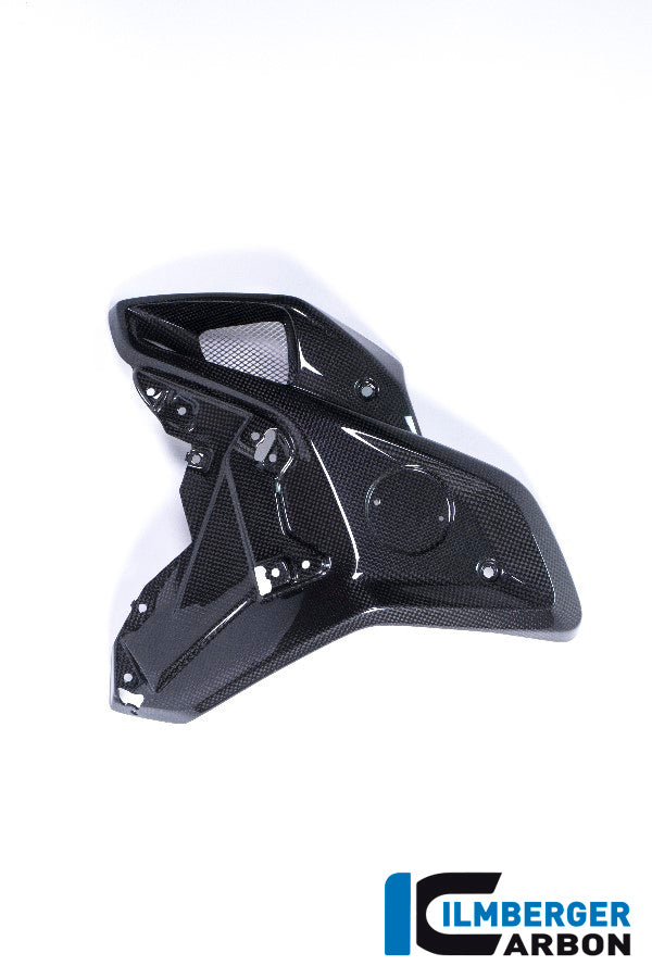 Ilmberger Carbon Airtube Left Side BMW R 1200 GS MY From 2017