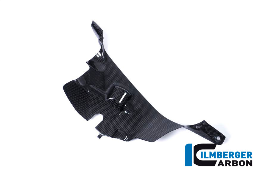 Ilmberger Carbon Air Tube Cover Right Ducati Panigale V4 / V4 S