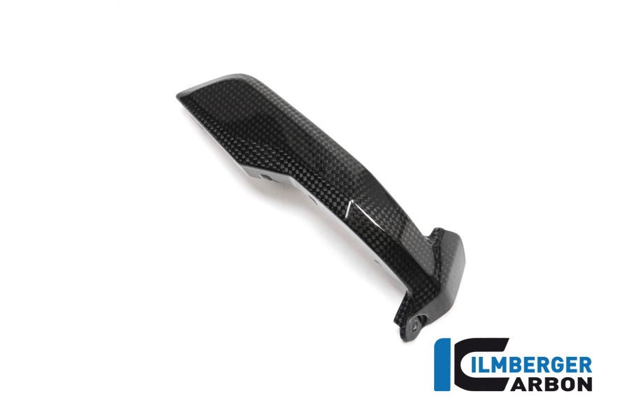 Ilmberger Carbon Spark Plug Cover Right Side Carbon - BMW R 1200 GS (LC) From 2013 To 2015
