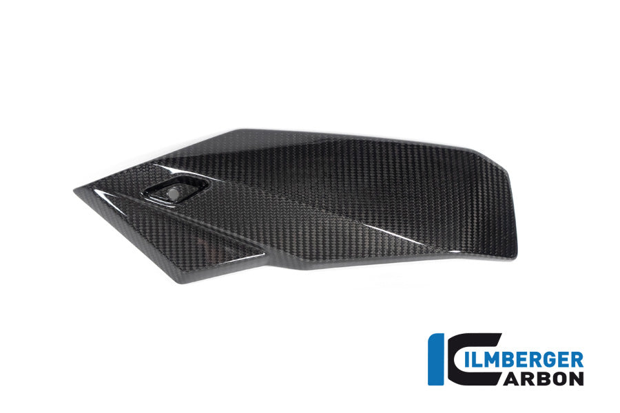 Ilmberger Carbon Bellypan Left Side BMW S 1000 R MY From 2021 / M 1000 R MY From 2023