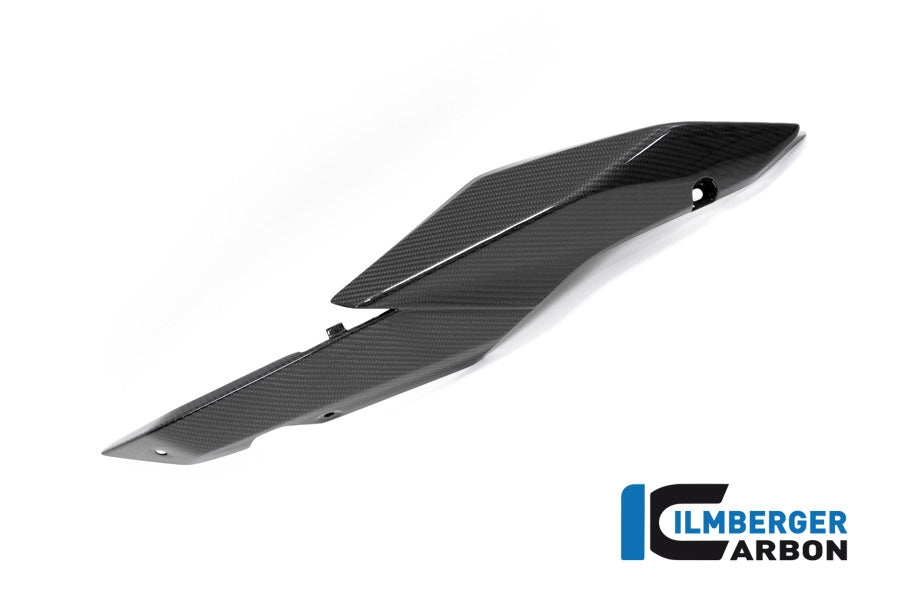 Ilmberger Carbon Seat Unit Panel Right BMW R 1250 R / R 1250 RS