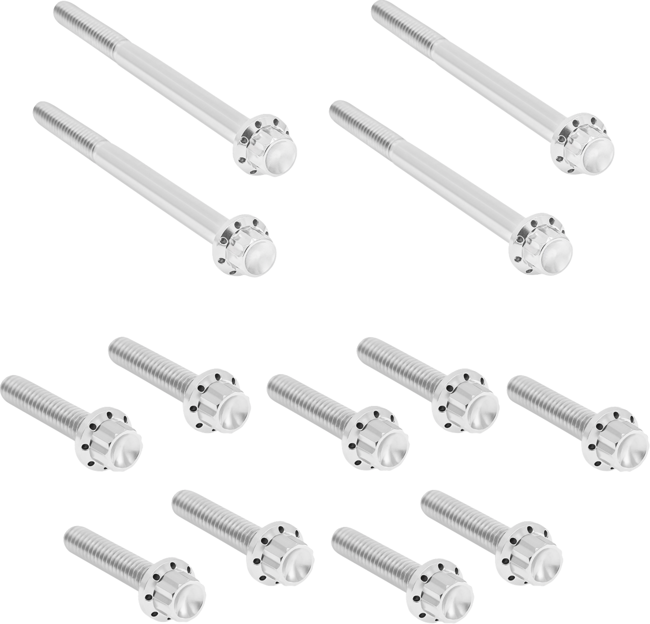 Arlen NESS Bolt Kit - Primary Cover - Titanium - 12-Point - FLT - Polished