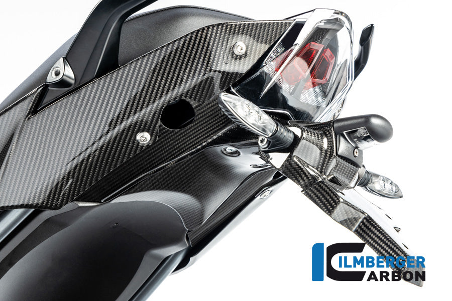 Ilmberger Carbon Numberplateholder (2 Pieces) BMW R 1250 R / R 1250 RS