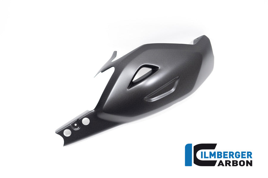 Ilmberger Carbon Swing Arm Cover Ducati Diavel V4 From 2023 - Matte