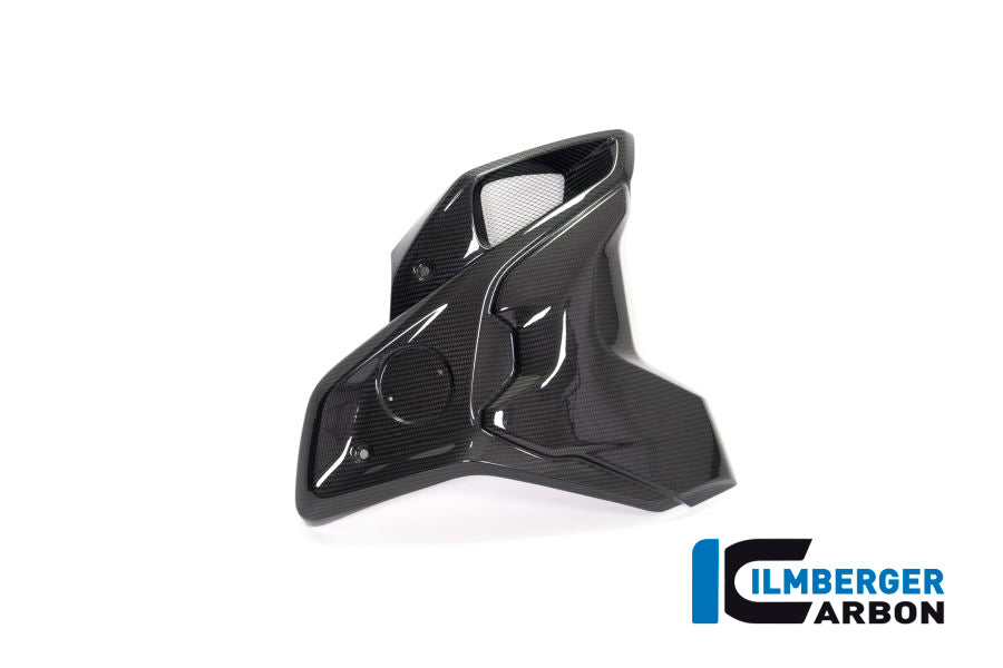 Ilmberger Carbon Airtube Right Incl Flap (2pieces) BMW R 1250 GS