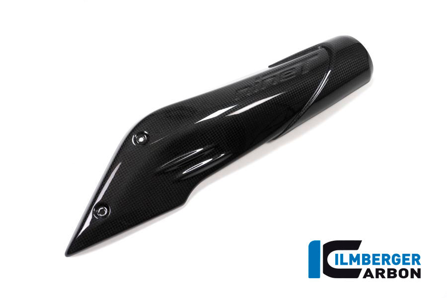 Ilmberger Carbon Air Channel Cover (Right Side) Carbon - BMW R Nine T