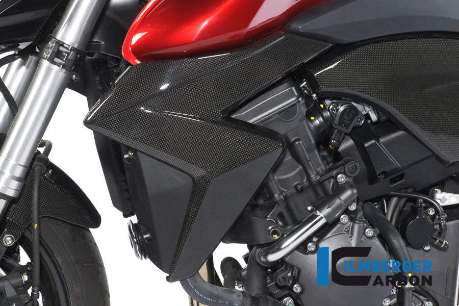 Ilmberger Carbon Left Radiator Cover Carbon