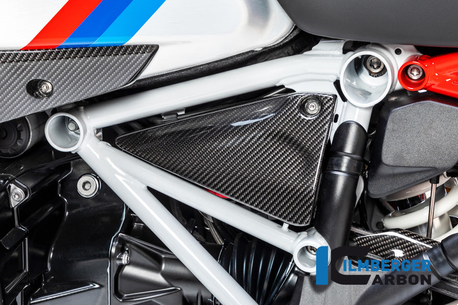 Ilmberger Carbon Frame Triangle Cover Left Side BMW R 1250 GS / R 1250 R And RS