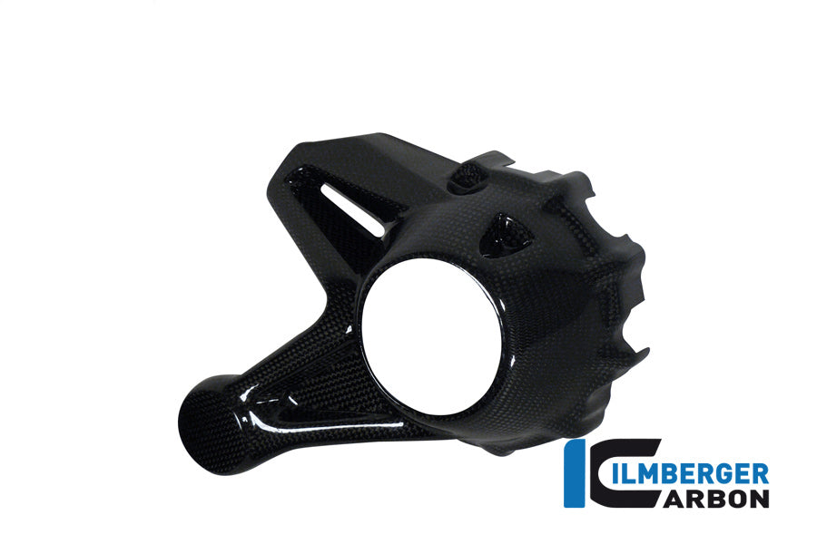 Ilmberger Carbon Cardan Housing Cover (Mounting Without Rear Splash Guard) Carbon For The Water-Cooled BMW R 1200