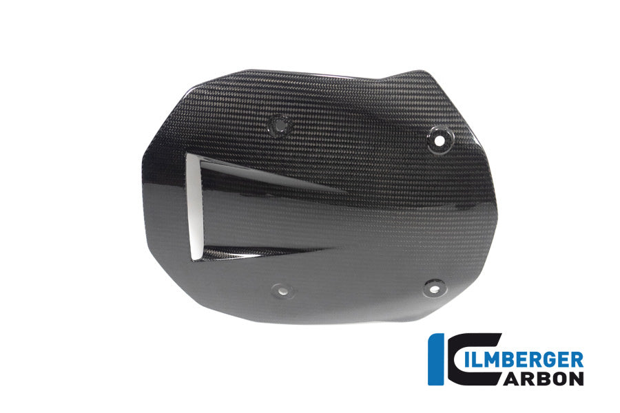 Ilmberger Carbon Windshield BMW M 1000 XR 2024