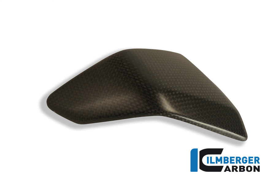 Ilmberger Carbon Left Side Fairing Insert Carbon