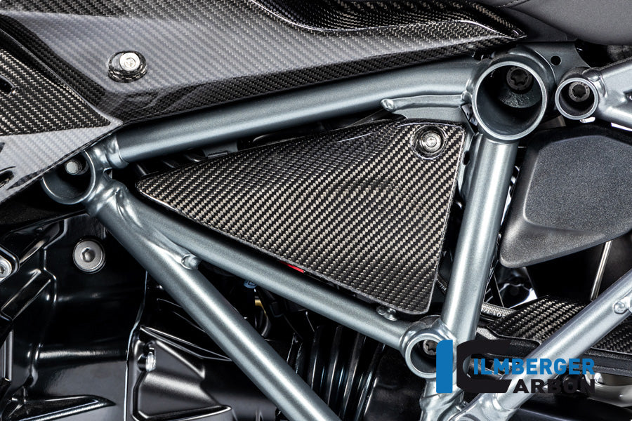 Ilmberger Carbon Frame Triangle Cover Left Side BMW R 1250 GS / R 1250 R And RS