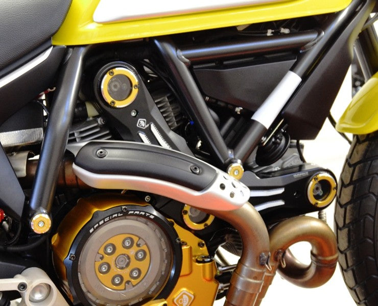 Ducabike DBK CDSCRA01 Timing Belt Cover - BLACK-GOLD