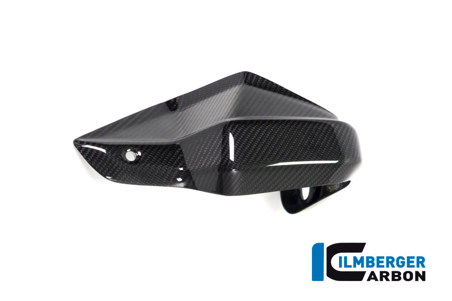 Ilmberger Carbon Hand Protector Left Side BMW R 1250 GS