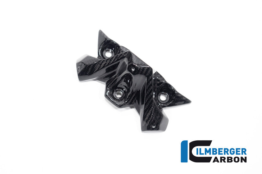 Ilmberger Carbon Windshield BMW S 1000 R MY From 2021 / M 1000 R MY From 2023