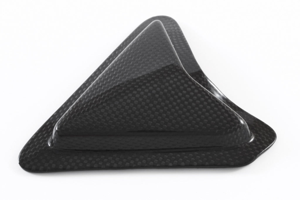 Fullsix Carbon Swingarm Guard - Slider