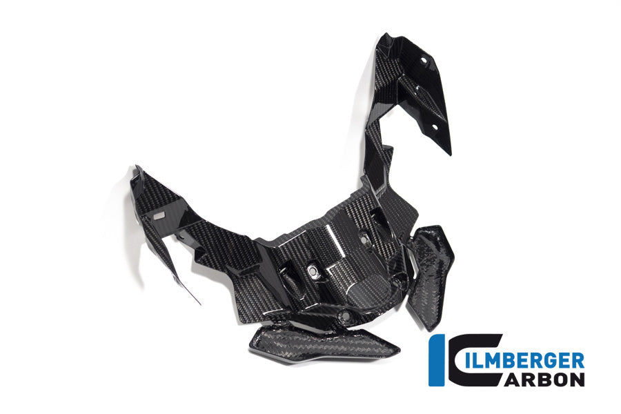 Ilmberger Carbon Front Beak Extension S 1000 XR From MY 2020