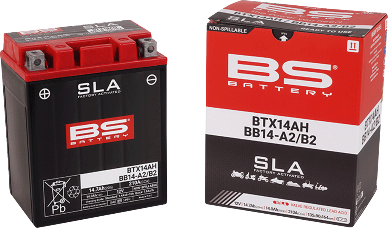 BS Battery Battery - BTX14AH (YTX)