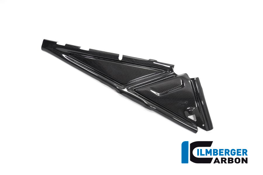 Ilmberger Carbon Subframe Cover Right Side BMW R 1250 GS