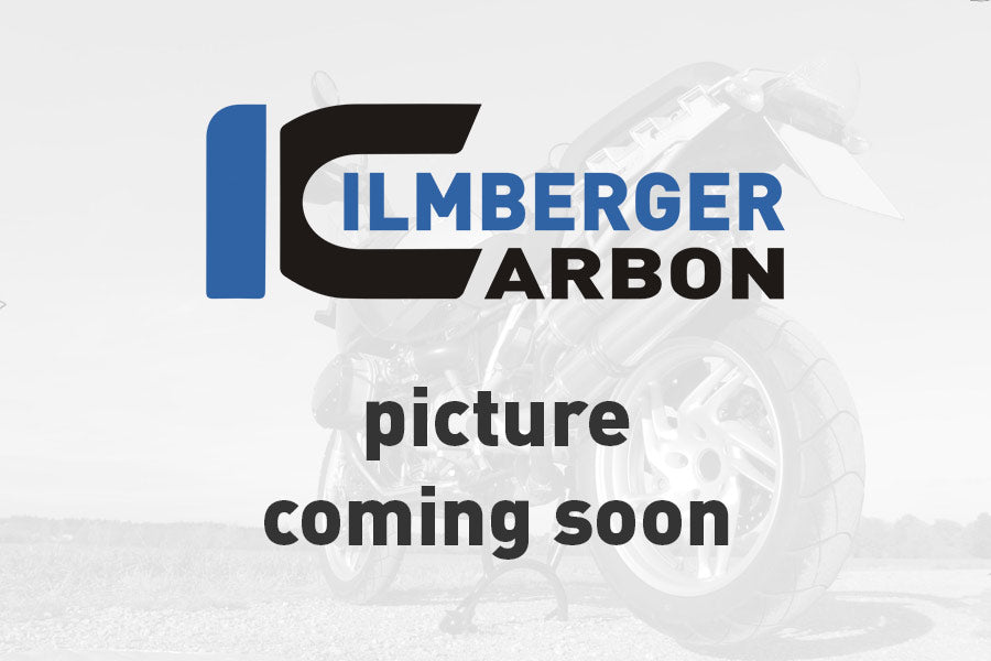 Ilmberger Carbon Alternator Cover Ducati Panigale 1299 (From 2015) - Gloss