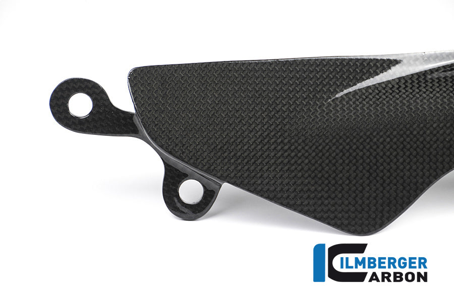 Ilmberger Carbon Rear Chain Guard - Gloss