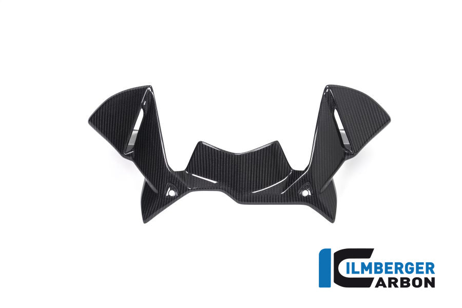 Ilmberger Carbon Windprotector On The Instruments BMW R 1250 GS