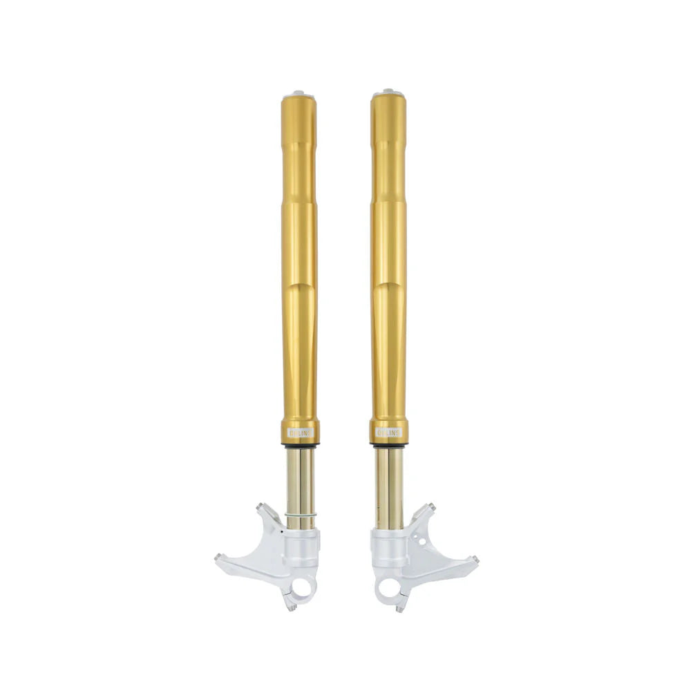 Ohlins FGRT 231 Road & Track Gold Front Forks For Panigale V4