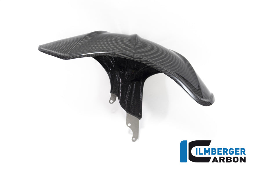 Ilmberger Carbon Rear Hugger BMW R 1250 R (LC) 2019