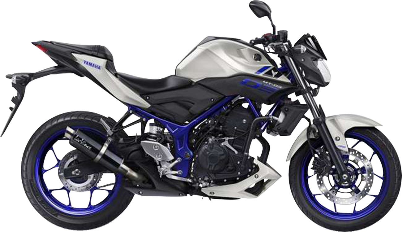 LeoVince GP Corsa Exhaust
