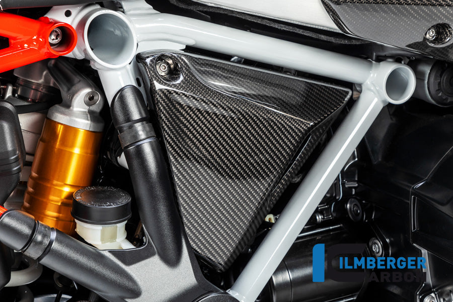 Ilmberger Carbon Frame Triangle Cover Right Side BMW R 1250 GS / R 1250 R And RS