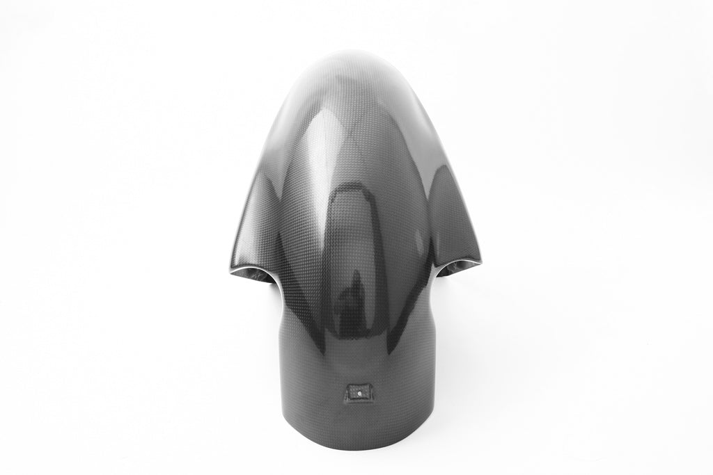 Fullsix Carbon FRONT MUDGUARD - Desmosedici RR Type