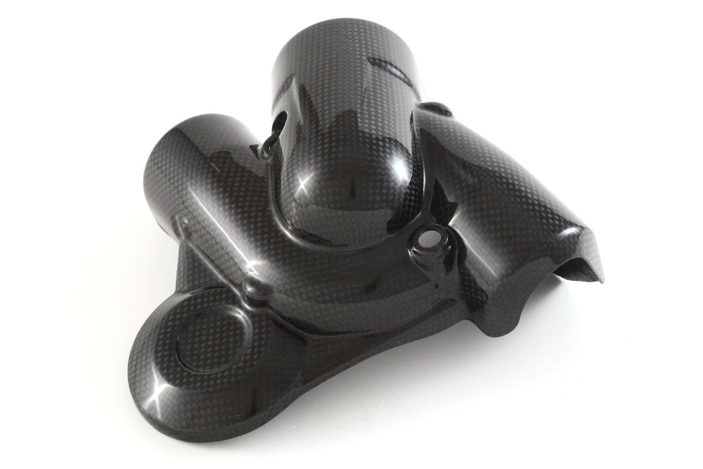 Fullsix Carbon Water Pump Protection