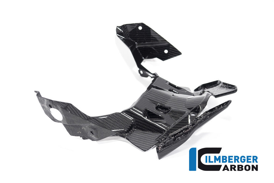 Ilmberger Carbon Front Beak Extension S 1000 XR From MY 2020
