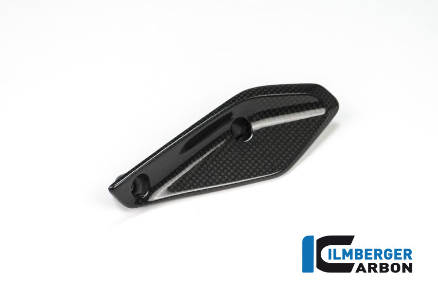 Ilmberger Carbon Verkleidungswinglet Links BMW R 1200 RS'15