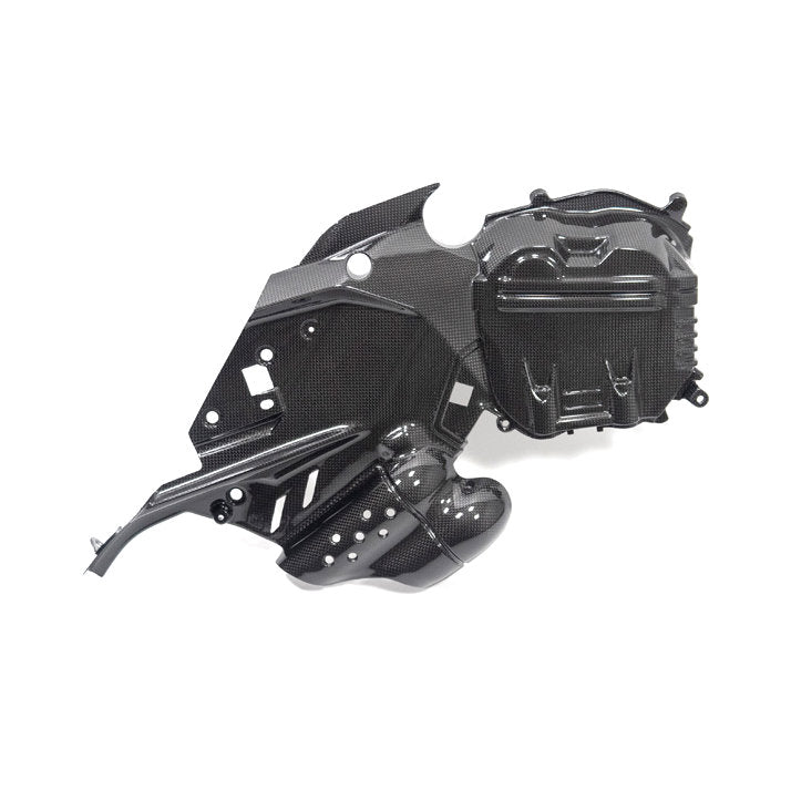 Ilmberger Carbon Fiber Left Side Engine Cover Ducati Diavel V4