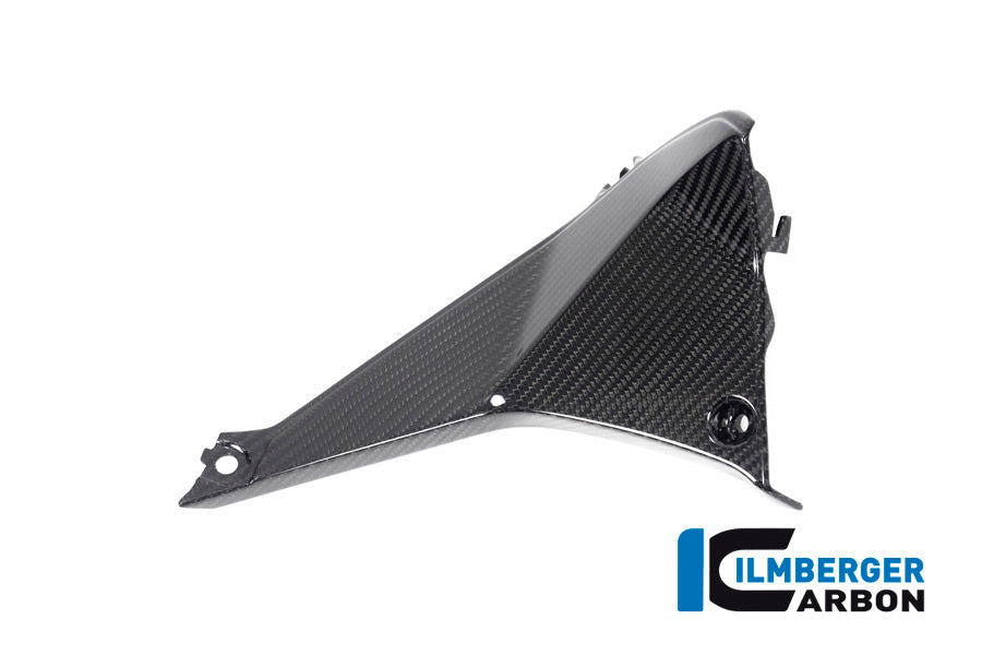 Ilmberger Carbon Cover Near The Instrument Left Side BMW R 1250 RS´19