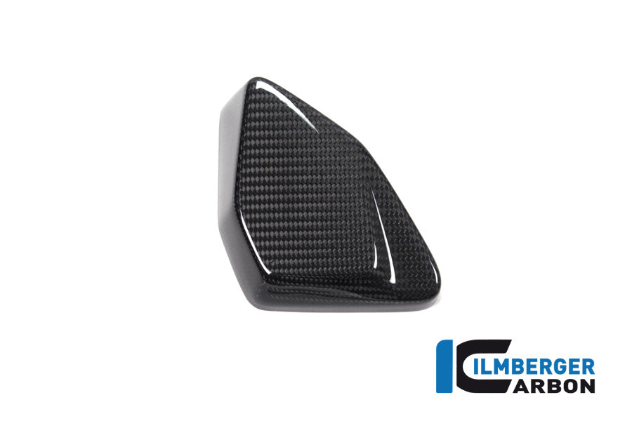 Ilmberger Carbon ESA Box Cover R 1250 GS