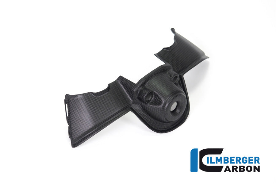 Ilmberger Carbon Ignition Switch Cover Ducati Panigale V4 / V4 S - Matte