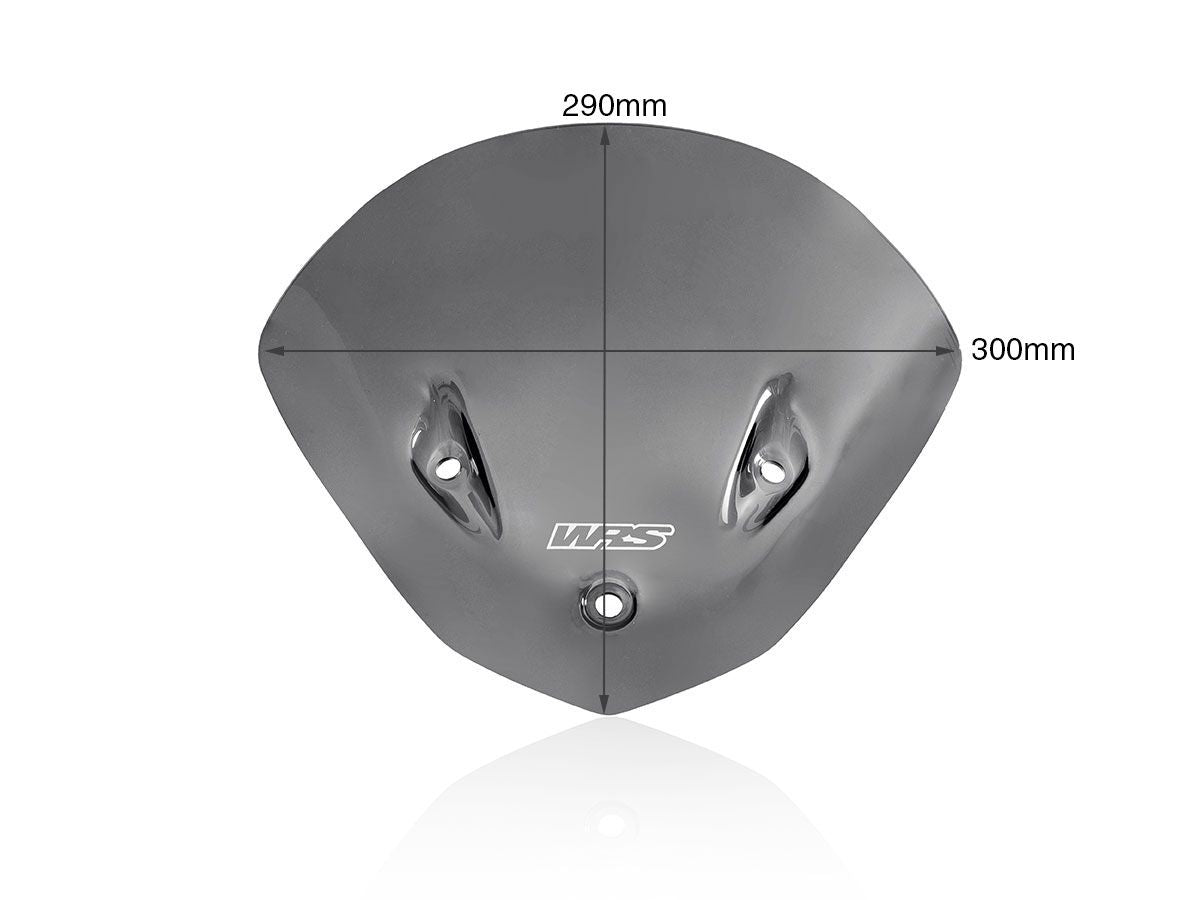 WRS Sport Windscreen BMW S 1000 R 2014-2020