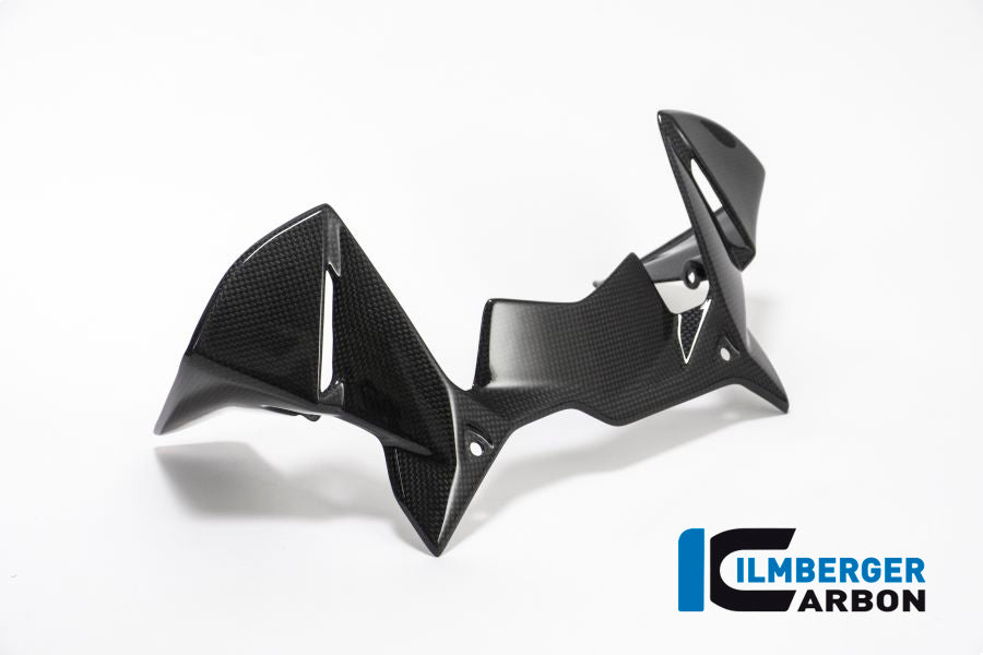 Ilmberger Carbon Windprotector On The Instruments BMW R 1200 GS´17
