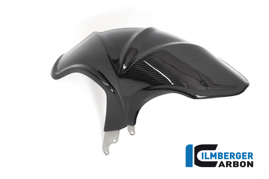 Ilmberger Carbon Rear Hugger BMW R 1250 R (LC) 2019