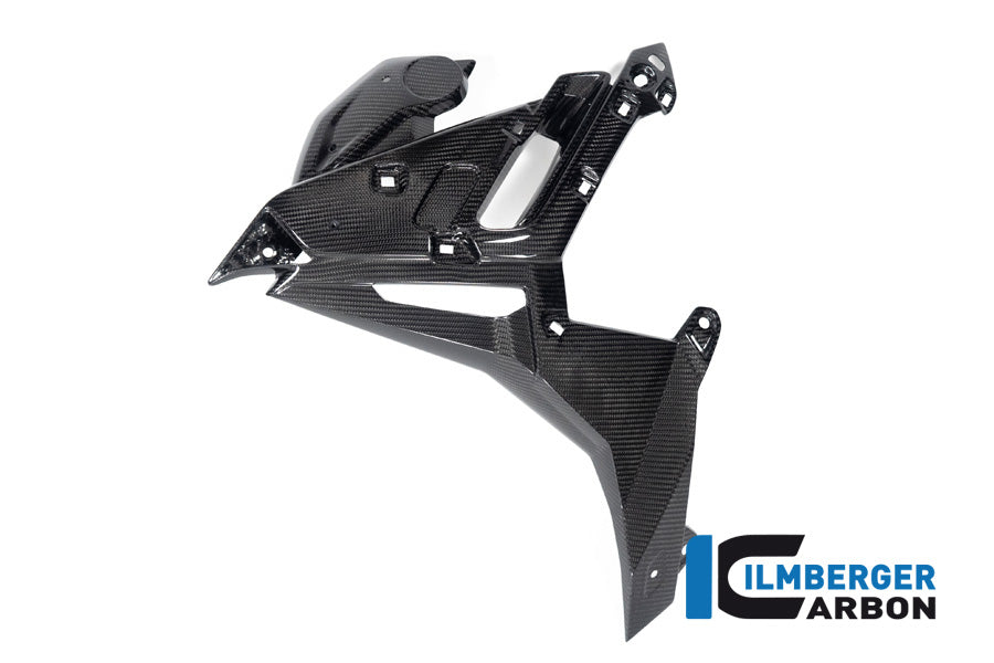 Ilmberger Carbon Watercooler Cover Left BMW M 1000 R From 2023