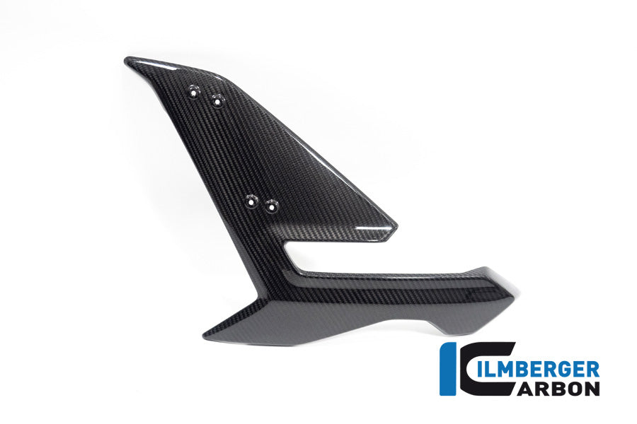 Ilmberger Carbon Side Fairing Left Side BMW S 1000 R MY From 2021