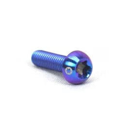 2015to 2017 BMW S1000RR Titanium Windshield Bolt Kit