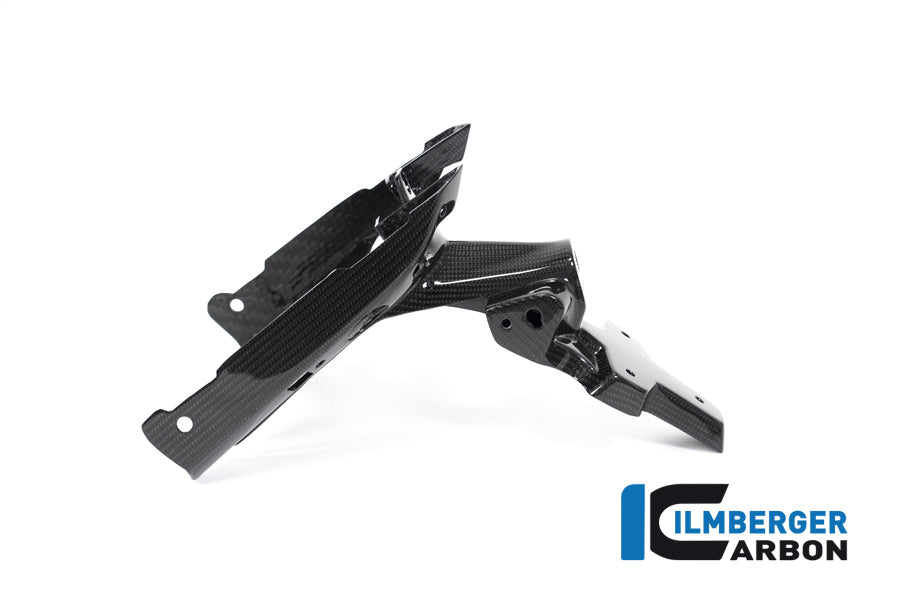 Ilmberger Carbon Numberplateholder (2 Pieces) BMW R 1250 R / R 1250 RS