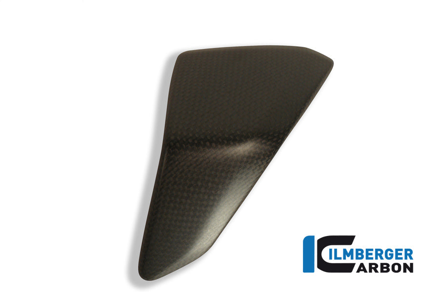 Ilmberger Carbon Left Side Fairing Insert Carbon