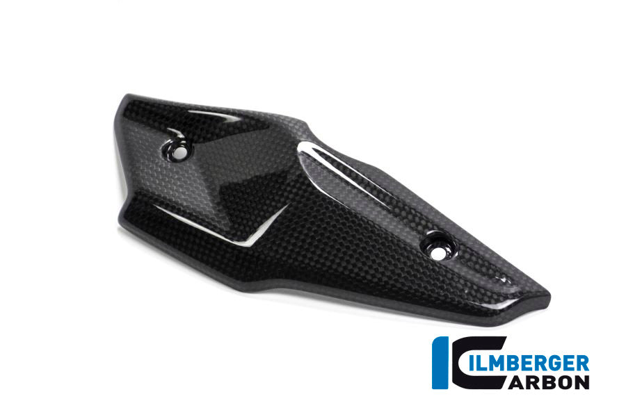 Ilmberger Carbon INJECTOR COVER - BMW R NINE T Scrambler