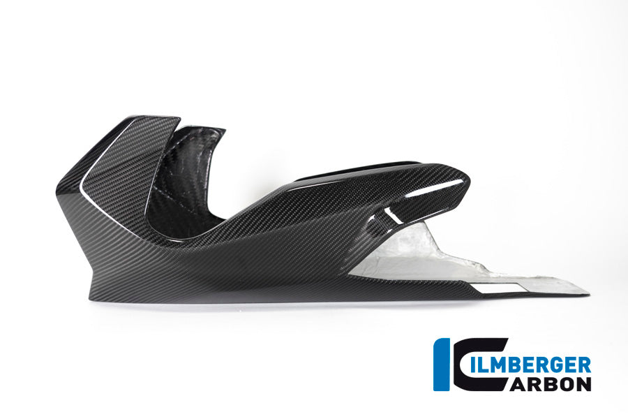 Ilmberger Carbon Bellypan BMW R 1250 R (LC) 2019