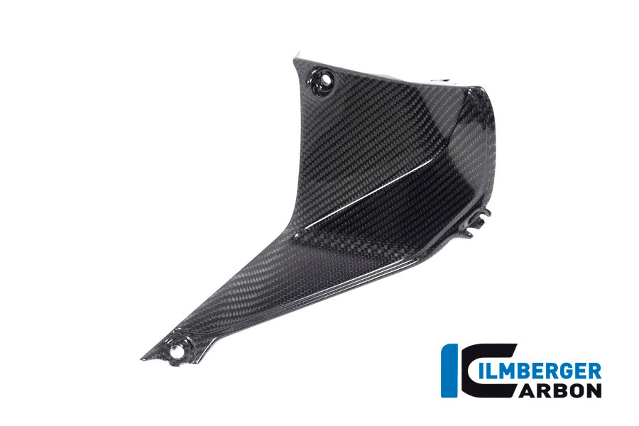 Ilmberger Carbon Cover Near The Instrument Right Side BMW R 1250 RS