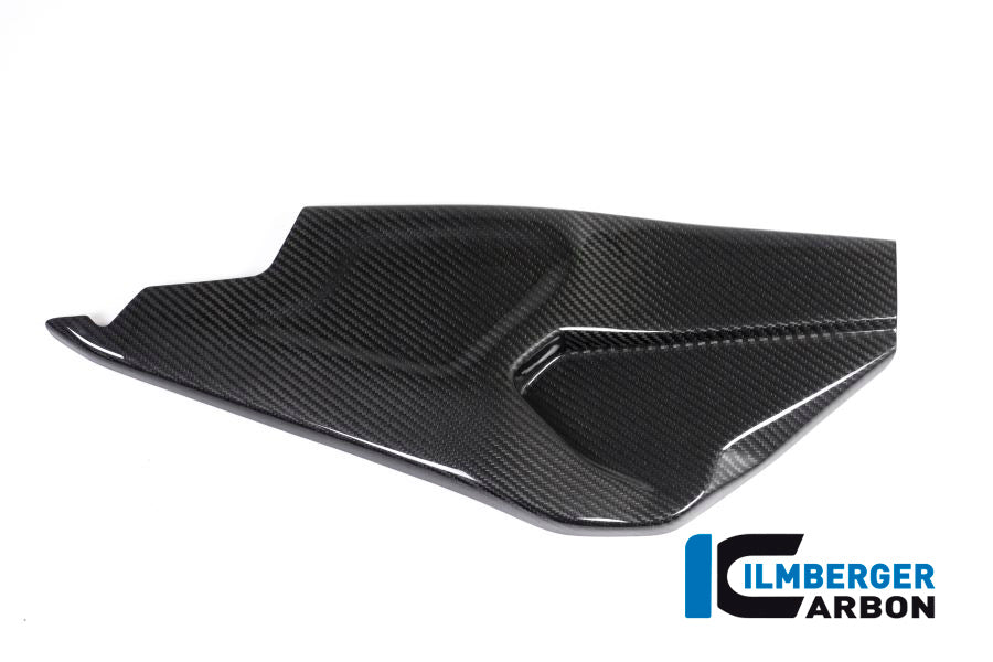 Ilmberger Carbon Swing Arm Cover Right Side BMW HP4 RACE